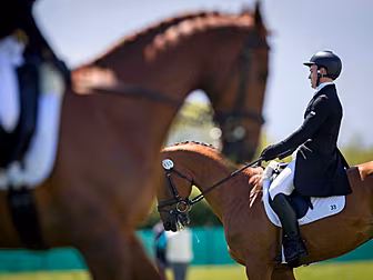 Ireland secure dressage spot f...