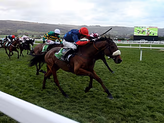 Old Guard withdrawn from Tuesd...