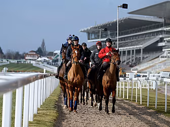 Day 1 of Cheltenham is upon us...