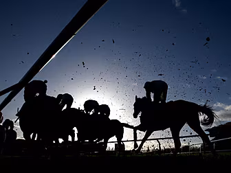 Cheltenham 2016: In Numbers