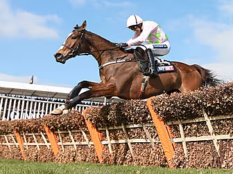 Vautour to run in the Ryanair...