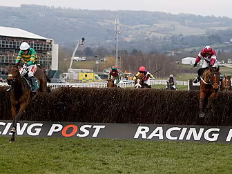 Ready for Day 2 at Cheltenham?...