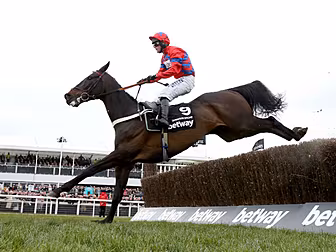 Sprinter Sacre savours return...