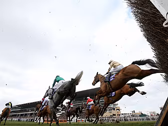Looking for Cheltenham betting...
