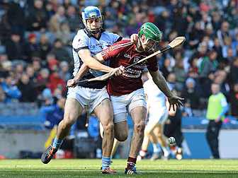 GALLERY: Na Piarsaigh named Al...