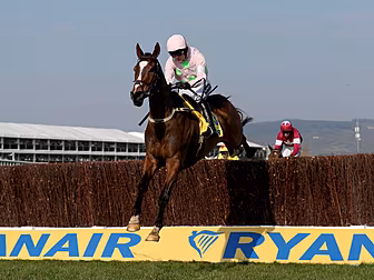 Ruby Walsh celebrates 50th Che...