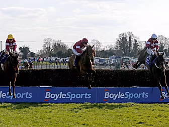 Need betting tips for the Iris...
