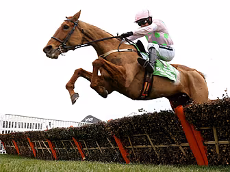 Annie Power among the stars pr...