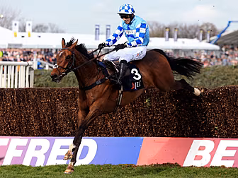 Vautour falls at Aintree as Go...