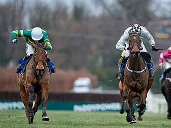 Four horses to keep an eye on...