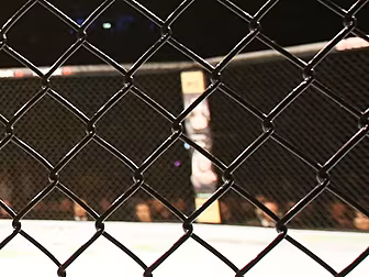 Bellator's first show in D...
