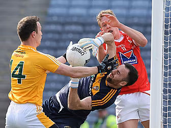 GALLERY: Louth win the Divisio...