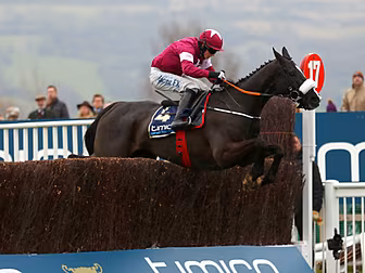 Don Cossack out of Punchestown...