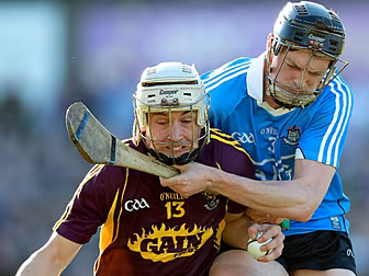 Dublin put a stop to Wexford&#...