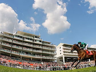 Need betting tips for the raci...
