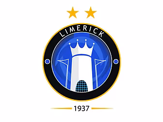 Limerick FC "hurt, angered...