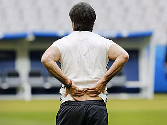Joachim Low apologises over pi...