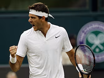 Juan Martin Del Potro's ba...
