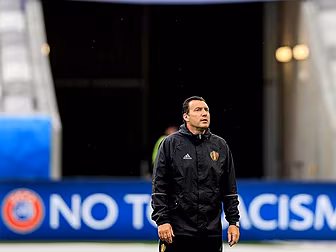 Marc Wilmots sacked after poor...