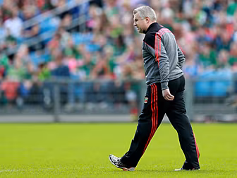 "The performance was patch...