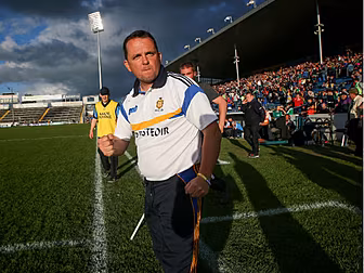 Clare hurling manager Davy Fit...