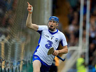 Austin Gleeson and Paul Geaney...