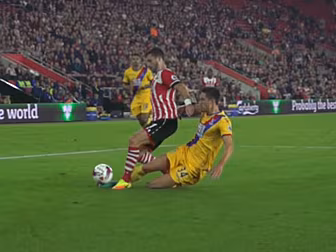 Alan Pardew claims Shane Long...