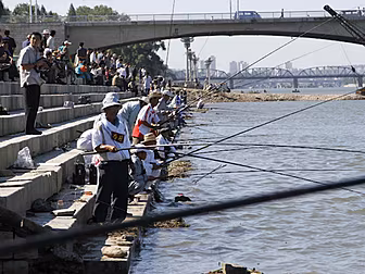 Fishing organisers want the sp...