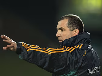 Seamus McEnaney named as Wexfo...