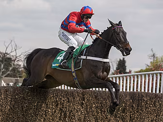 Nicky Henderson retires 'h...