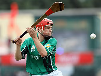 Tommy Walsh sees a future for...