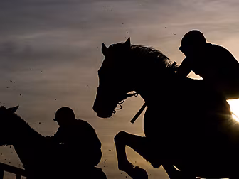 TV3 will broadcast Cheltenham,...