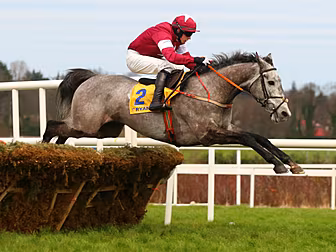 Petit Mouchair stuns Nichols C...