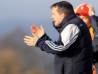Davy Fitzgerald looks to the d...