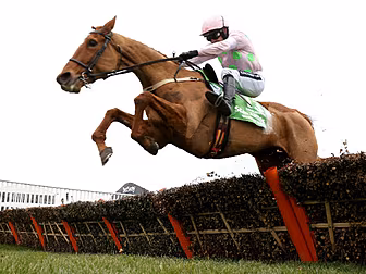 Annie Power ruled out of the C...