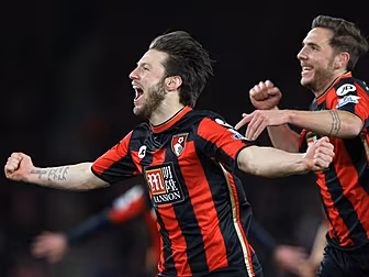 Harry Arter celebrates birth o...