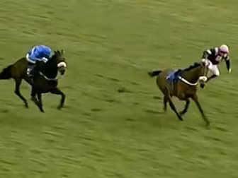 WATCH: Rider unseated driving...