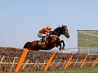 Renewed Thistlecrack Cheltenha...