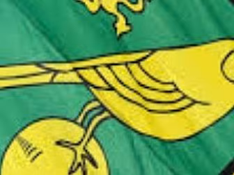 Norwich sack Alex Neill 