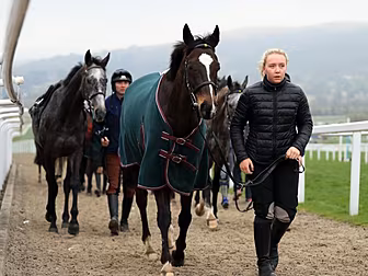 Cheltenham Festival: Day 3