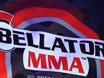 Chael Sonnen and Wanderlai Sil...