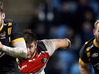 Wasps flying high ahead of Lei...