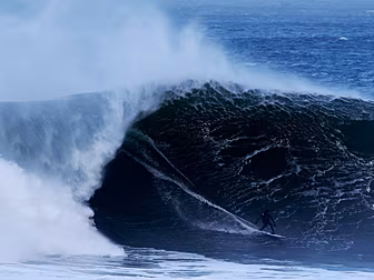 DOCUMENTARY: Plunge into the w...