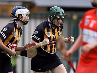 Kilkenny retain top cat status...