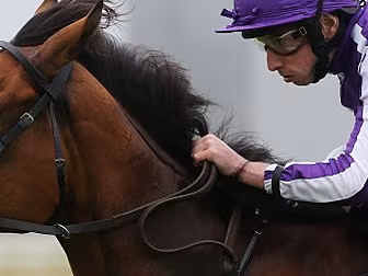 Minding produces dominant disp...