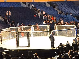 Injured Garbrandt struggling t...