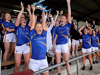Tipperary claim Division 3 tit...