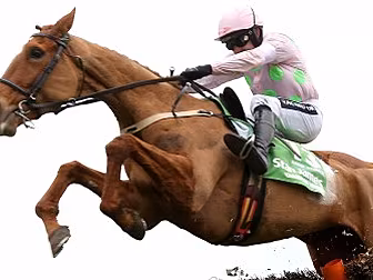 Annie Power retired from racin...