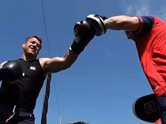 GALLERY: British and Irish Lio...