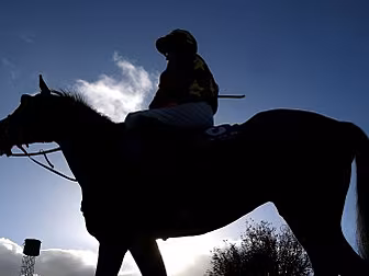 Irish jockey out of induced co...